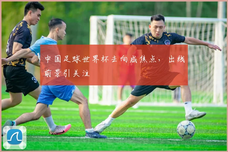 中国足球世界杯去向成焦点,出线前景引关注