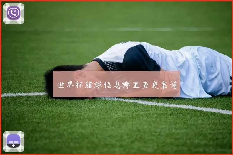 世界杯赌球信息哪里查更靠谱