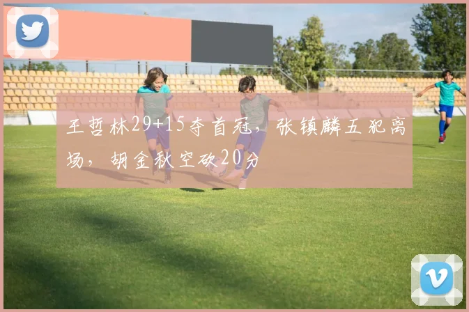 王哲林29+15夺首冠,张镇麟五犯离场,胡金秋空砍20分