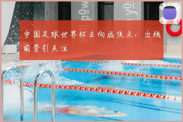 中国足球世界杯去向成焦点，出线前景引关注