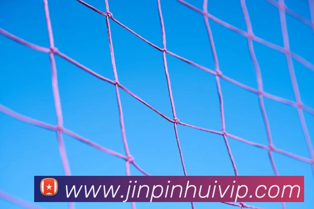 hth官网服务体系